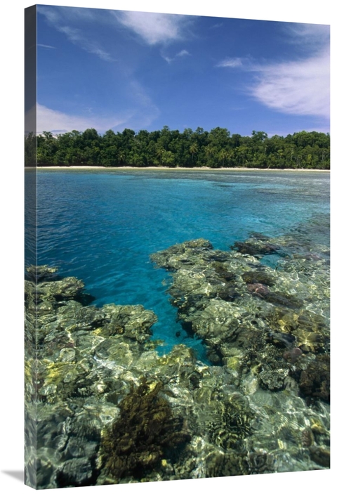 Global Gallery GCS-452343-2436-142 24 x 36 in. Coral Lagoon & Palm Lin