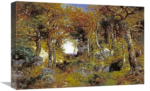 Global Gallery GCS-268320-22-142 22 in. The Woodland Pool Art Print - 