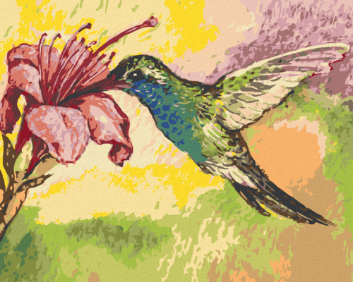 Paint by Numbers - HUMMINGBIRD AND A PINK FLOWER