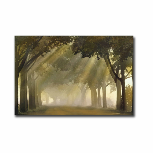 Artistic Home Gallery 2436R512EG Misty Grove by Steven Mitchell Premiu