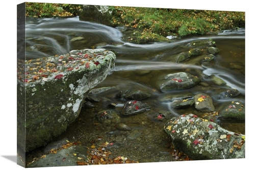 Global Gallery GCS-396551-1824-142 18 x 24 in. Laurel Creek, Great