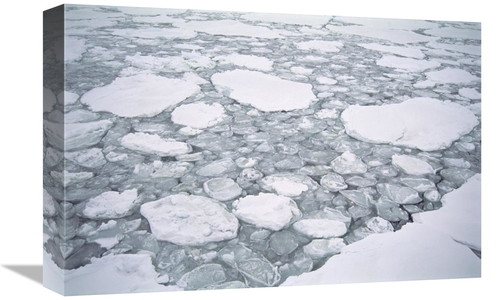 Global Gallery GCS-451549-1218-142 12 x 18 in. Sea Ice, Pancake Ic