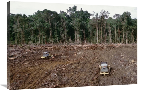 Global Gallery GCS-395786-2436-142 24 x 36 in. Clearing of Tropical Ra