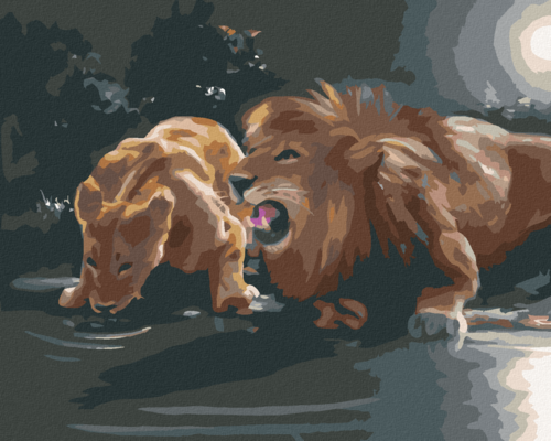 Zuty - Paint by Numbers - LION AND LIONESS AT A WATERING HOLE (D.