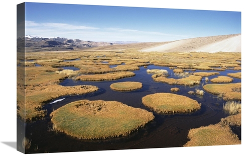 Global Gallery GCS-451494-1624-142 16 x 24 in. Andean Bofedal Near Sou