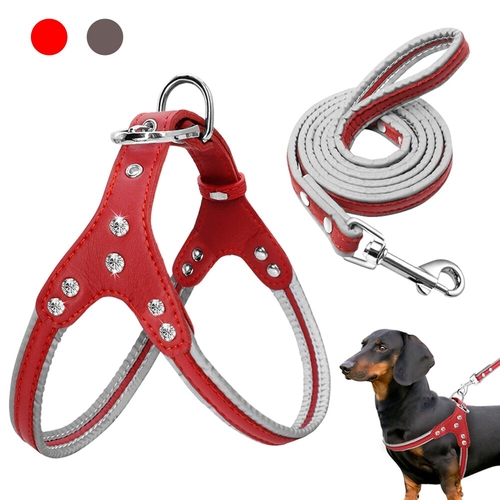 Leather Dog Harness And Leash Set Reflective Small