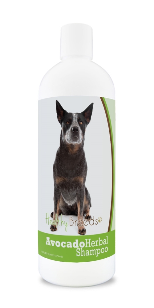 Healthy Breeds 840235157175 Australian Cattle Dog Avocado Herbal Dog S