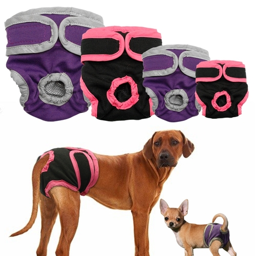 Female Dog Shorts Puppy Physiological Pants Diaper
