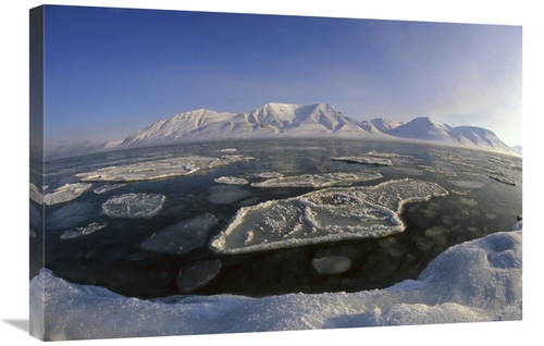 Global Gallery GCS-453539-2030-142 20 x 30 in. Ice Floes & Mountain Ra