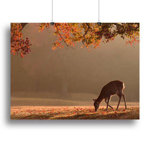 First Autumn Canvas Print or Poster