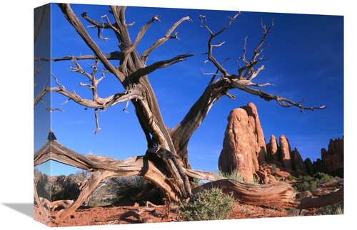 Global Gallery GCS-452032-1216-142 12 x 16 in. Snag At Fiery Furnace L