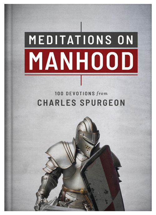 Main Meditations on Manhood image