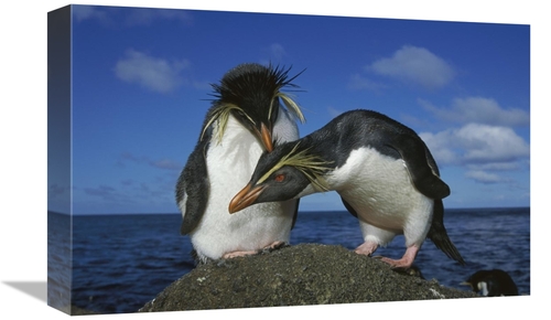 Global Gallery GCS-451807-1218-142 12 x 18 in. Rockhopper Penguin Pair