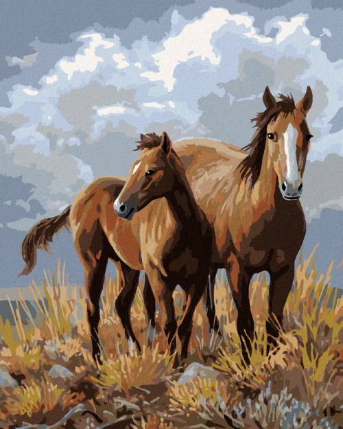 Zuty - Paint by Numbers â€“ HORSES ON THE PLATEAU (JAMES HAUTMAN),