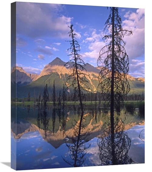 Global Gallery GCS-452152-2228-142 22 x 28 in. Chancellor Peak Reflect