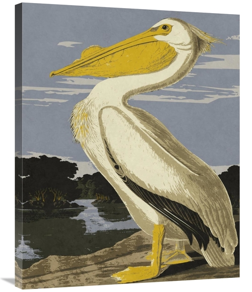 Global Gallery GCS-394763-2835-142 28 x 35 in. Audubon Decor - Pelican