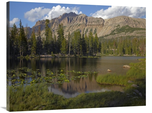 Global Gallery GCS-396005-3040-142 30 x 40 in. Butterfly Lake, Uin