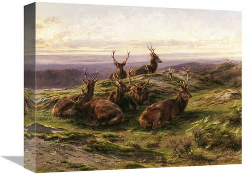 Global Gallery GCS-281744-16-142 16 in. Stags at Rose Art Print - Rosa
