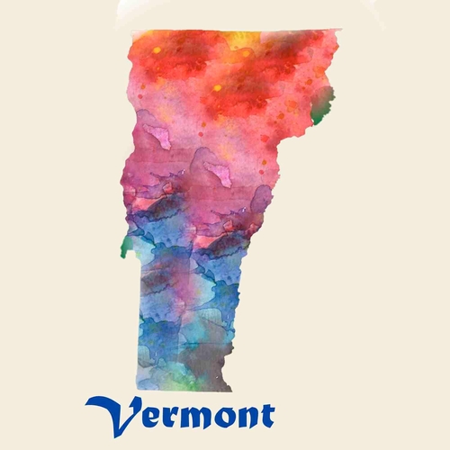 State Of Vermont A 3 Inch Diameter Patches