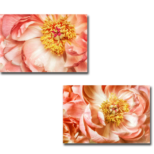 Artistic Home Gallery 2436Y749EG Peony One & Peony Two by Dianne Poins