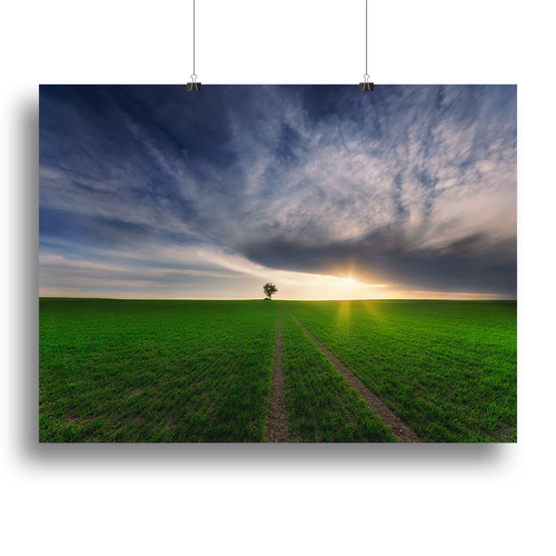 Loner In The Sun Canvas Print or Poster