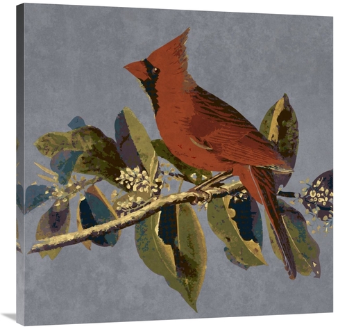 Global Gallery GCS-394159-3636-142 36 x 36 in. Audubon Decor - Male Ca