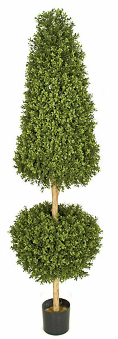 Autograph Foliages AUV-102790 6 ft. Boxwood Ball & Cone Topiary- Tuton