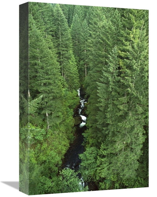 Global Gallery GCS-452995-1218-142 12 x 18 in. Oneonta Creek, Colu