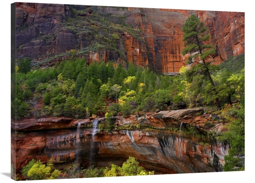 Global Gallery GCS-452140-3040-142 30 x 40 in. Waterfalls At Emerald P