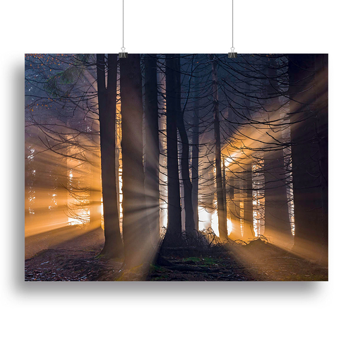 Autumn Forest Canvas Print or Poster