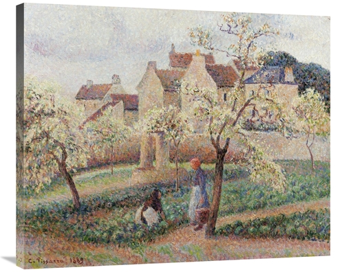 Global Gallery GCS-267031-36-142 36 in. Plum Trees in Blossom Art Prin