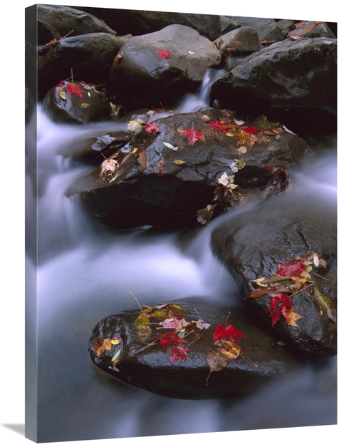 Global Gallery GCS-452055-2432-142 24 x 32 in. Little Pigeon River & F