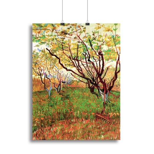 Orchard in Blossom by Van Gogh Canvas Print or Poster