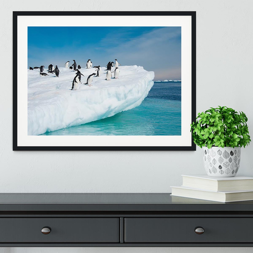 Penguins on Iceberg Framed Print