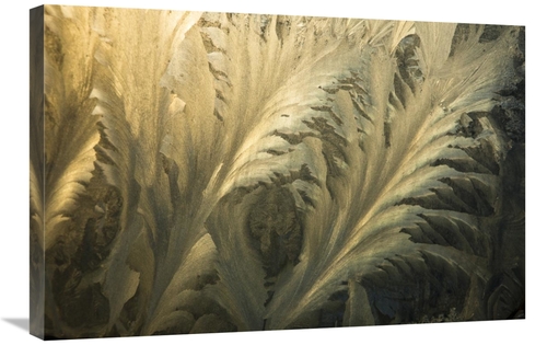 Global Gallery GCS-397757-2030-142 20 x 30 in. Frost Crystal Patterns 