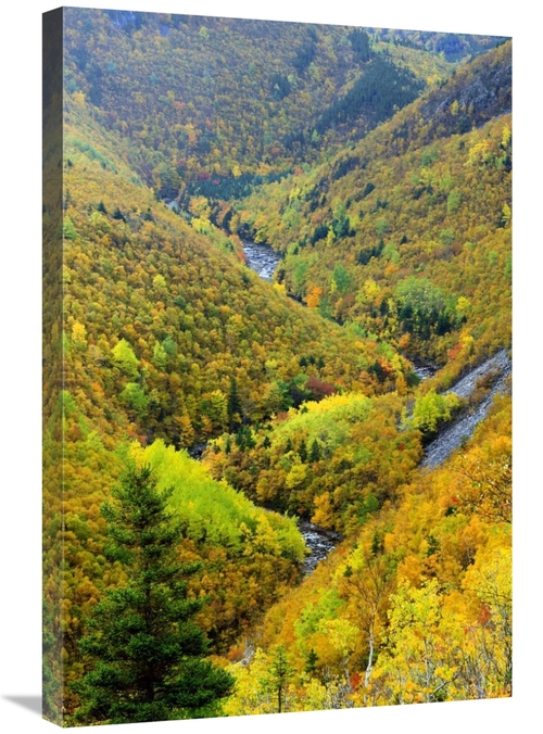 Global Gallery GCS-397610-2030-142 20 x 30 in. Mackenzie River Valley&