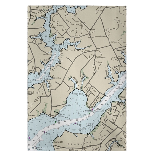 Betsy Drake GT12272CT 20 x 20 in. Chester River, MD Nautical Map G