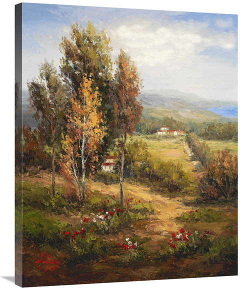 Global Gallery GCS-132586-2835-142 28 x 35 in. Valle Salerno Art Print