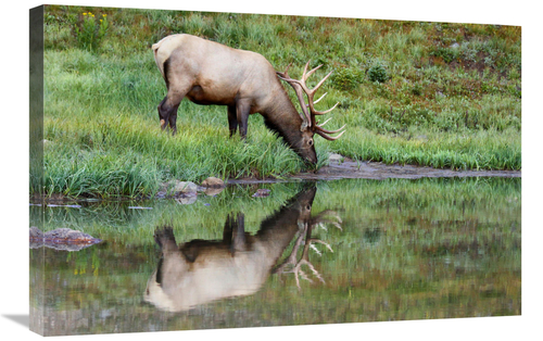 Global Gallery GCS-486494-30-142 30 in. Reflections Art Print - Vic Sc