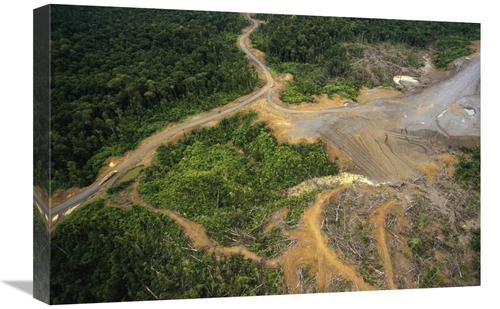 Global Gallery  16 x 24 in. Logging Erosion in Lowland Tropical Rainfo