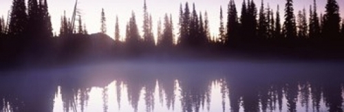 Panoramic Images PPI118867L Reflection of trees in a lake  Mt Rainier 