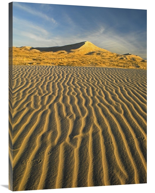 Global Gallery GCS-452131-3040-142 30 x 40 in. Wind Ripples in Kelso D