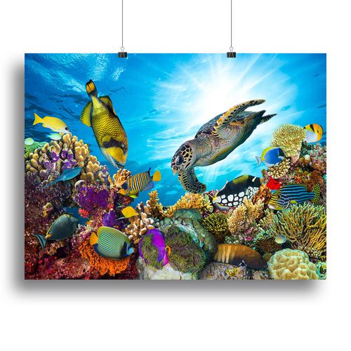 Reef with many fishes and sea turtle Canvas Print or Poster