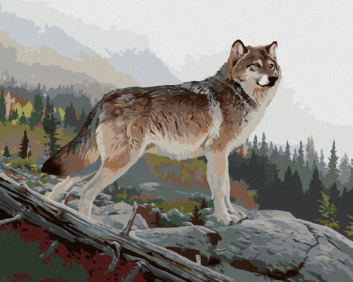 Paint by Numbers - WOLF ON A ROCK, A FOREST AND MOUNTAINS (AL AGNEW)