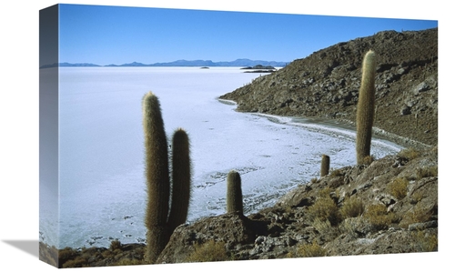 Global Gallery GCS-451631-1218-142 12 x 18 in. Salar De Uyuni Salt Pan