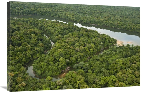 Global Gallery GCS-397908-2436-142 24 x 36 in. Essequibo River, Iw