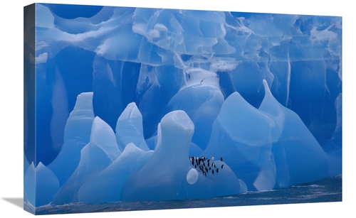 Global Gallery GCS-453439-1624-142 16 x 24 in. Chinstrap Penguin Group