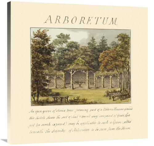 Global Gallery GCS-453926-3636-142 36 x 36 in. Arboretum, 1813 Art