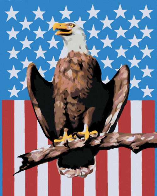 Zuty - Paint by Numbers - EAGLE ON AMERICAN BACKGROUND (D. RUSTY