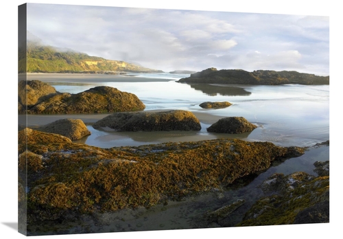 Global Gallery GCS-396653-2432-142 24 x 32 in. Seaweed Covered Rocks E